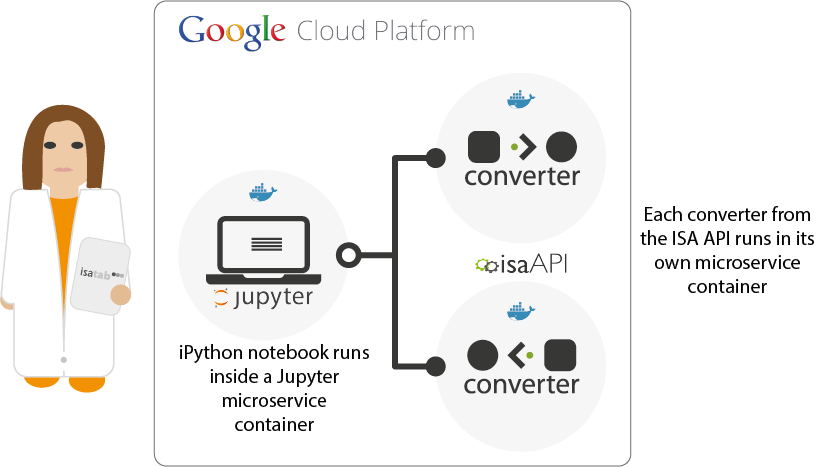 Diagram showing how an iPython notebook and ISA API microservices can be deployed